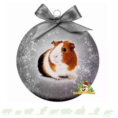 Boule de Noël en Argent Cochon d'Inde