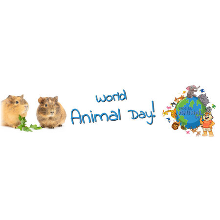 Knaagdierwinkel® Animal Day Snack Package