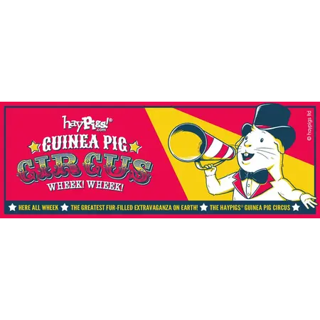 HayPigs HayPigs Circus Piggy Crash Fleece Mat en Mandje 35 cm voor knaagdieren