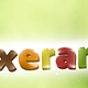 Mixerama Golden Hamster Basic Menu Hamster Food