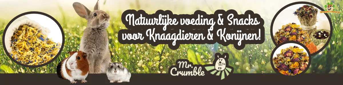 Mr Crumble Gerbilvoer is natuurlijke Gerbilvoeding 500 gram voor Mongoolse Gerbils en dikstaartgerbils