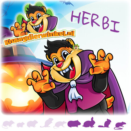 Knaagdierwinkel® Paquete de Halloween de diversión y espeluznantes mordisqueos