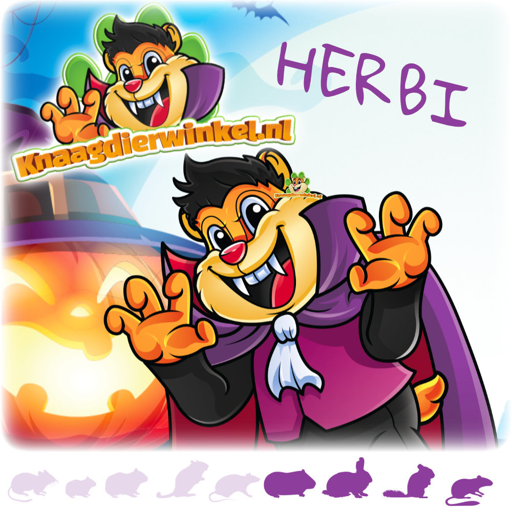 Knaagdierwinkel® Paquete de Halloween de diversión y espeluznantes mordisqueos