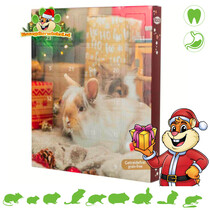 Advent Calendar Rodents & Rabbits