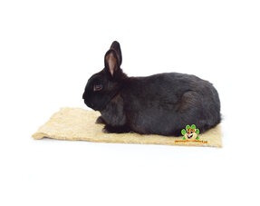 Rabbit bedding mats