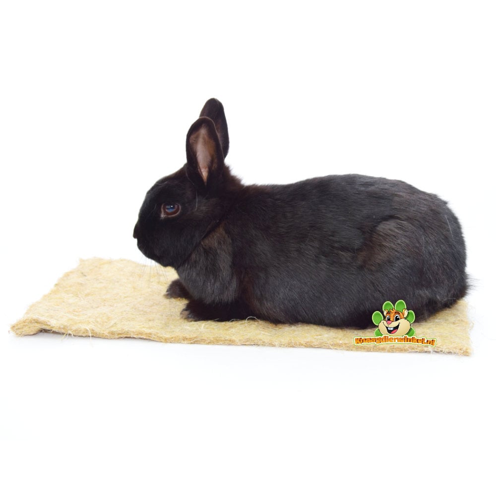 Choose floor mats for rabbits for grip and comfort