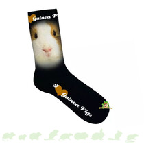 Socks Guinea Pig Black