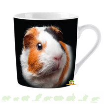 Mok Cavia