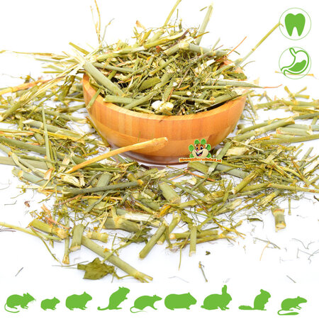 Knaagdier Kruidenier Dried Fennel Sticks 100 grams