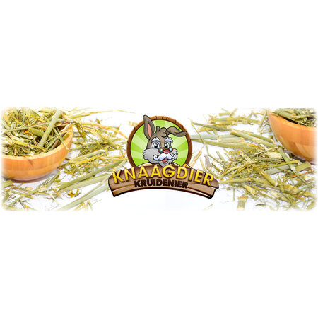 Knaagdier Kruidenier Dried Fennel Sticks 100 grams