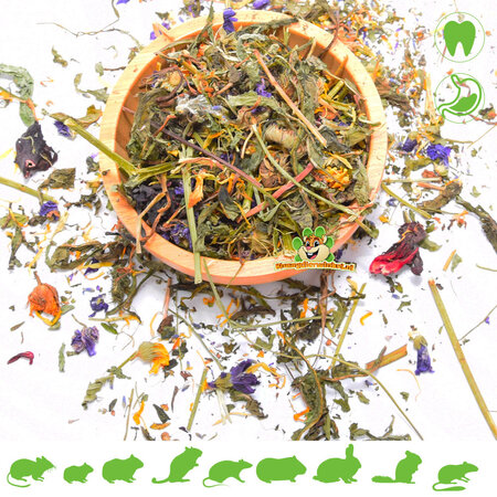 Knaagdier Kruidenier Mélange de fleurs et d'herbes pour Chinchilla et Degu
