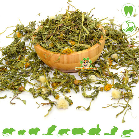 Knaagdier Kruidenier Dried Dandelion Herb & Flowers