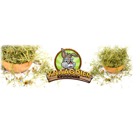 Knaagdier Kruidenier Suszone ziele chabra