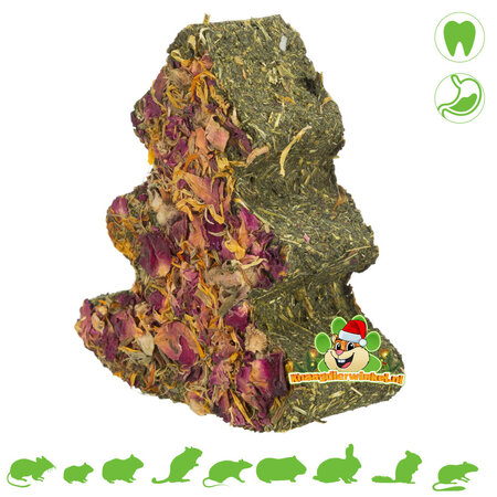 Trixie Kerstboom Peterselie