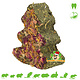 Trixie Kerstboom Peterselie