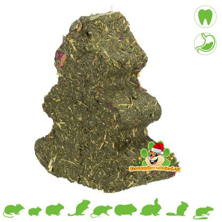Trixie Parsley & Millet Christmas Tree 140 g