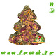 Trixie Kerstboom Peterselie