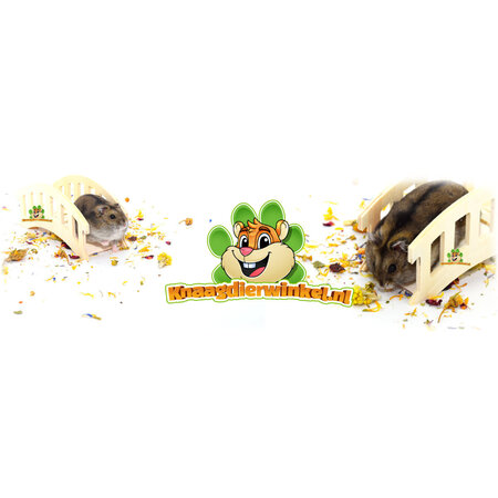 Knaagdierwinkel® Drewniany mostek dekoracyjny do chomików 15 cm