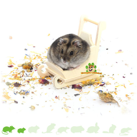 Knaagdierwinkel® Drewniane sanki Hamsterscaping Deco 9 cm