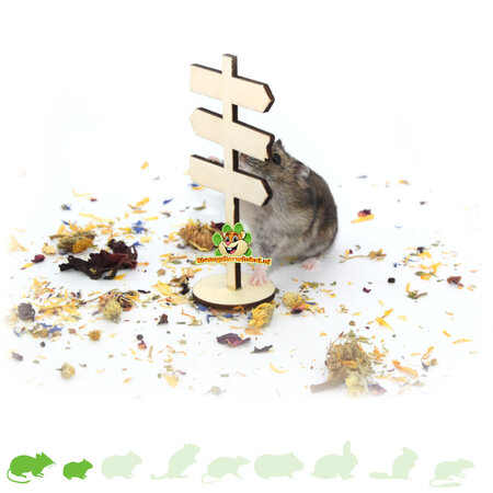 Knaagdierwinkel® Letrero de madera decorativo para hámsteres de 12 cm