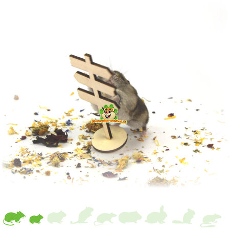 Knaagdierwinkel® Chomik Deco Drewniany drogowskaz 12 cm