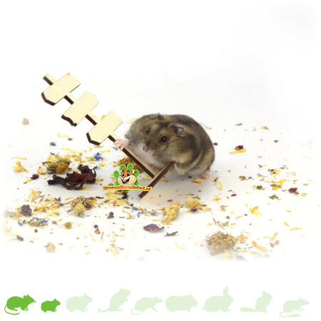 Knaagdierwinkel® Hamsterscaping Deco Holzschildpfosten 12 cm