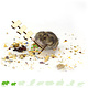 Knaagdierwinkel® Hamsterscaping Deco Holzschildpfosten 12 cm