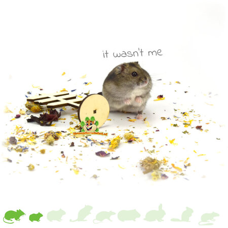 Knaagdierwinkel® Hamsterscaping Déco Panneau En Bois 12 cm