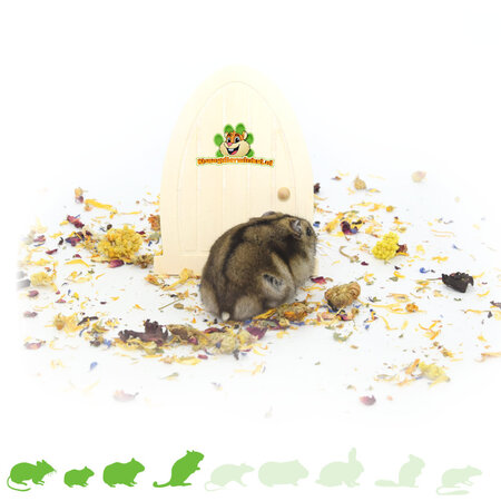 Knaagdierwinkel® Drzwi dekoracyjne Hamsterscaping do Krainy Wróżek 13 cm