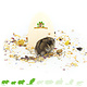 Knaagdierwinkel® Drzwi dekoracyjne Hamsterscaping do Krainy Wróżek 13 cm