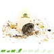 Knaagdierwinkel® Hamsterscaping Deco Puerta al País de los Cuentos de Hadas 13 cm