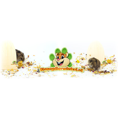 Knaagdierwinkel® Hamsterscaping Dekor Tür zum Märchenland 13 cm