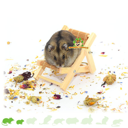 Knaagdierwinkel® Składane krzesło z drewna Hamsterscaping Deco 9,5 cm