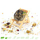 Knaagdierwinkel® Hamsterscaping Deco Klappstuhl aus Holz, 9,5 cm