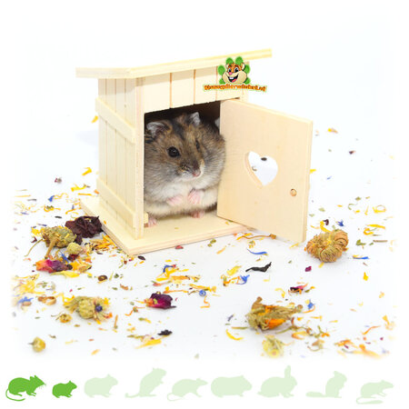 Knaagdierwinkel® Hamsterscaping Deco Houten Dixie 8 cm