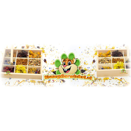 Knaagdierwinkel® Luxuriöse kleine Aufbewahrungsbox aus Holz, 17 cm