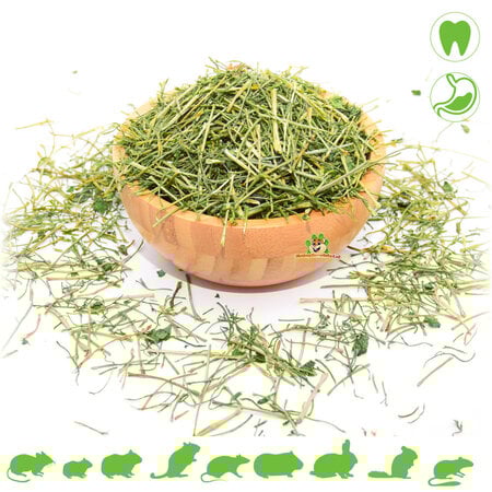 Knaagdier Kruidenier Getrocknete Petersilienstängel