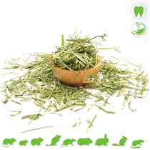 Dried Green Oat Herb