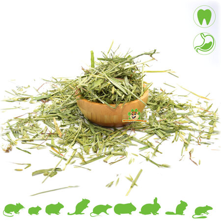 Knaagdier Kruidenier Dried Green Oat Herb