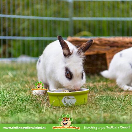 Trixie Keramik-Futter-/Wassernapf Farbe Kaninchen 11 cm