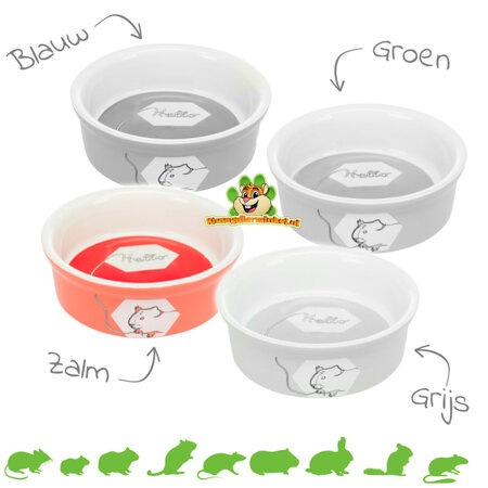 Trixie Ceramiczna miska na jedzenie/wodę kolorowa świnka morska 11 cm
