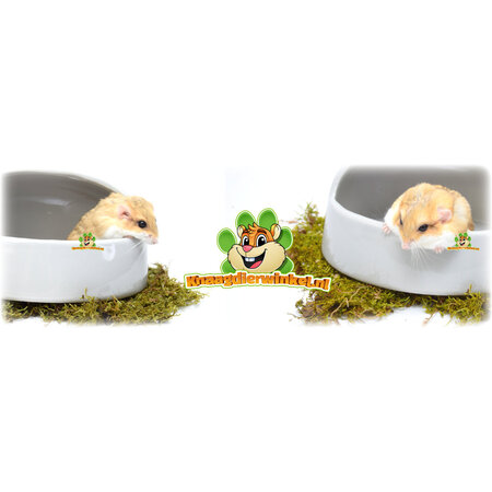 Trixie Caja de arena de cerámica de media caña