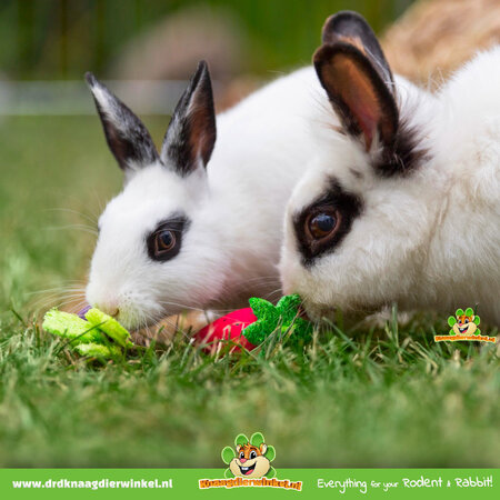 Trixie Nagendes Obst- und Gemüsespielzeug aus Holz