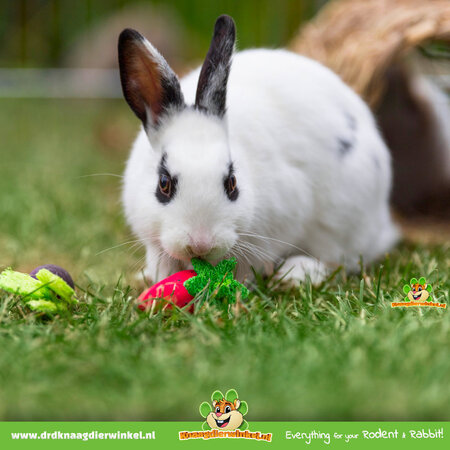 Trixie Nagendes Obst- und Gemüsespielzeug aus Holz