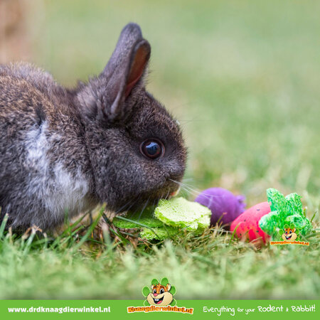 Trixie Nagendes Obst- und Gemüsespielzeug aus Holz