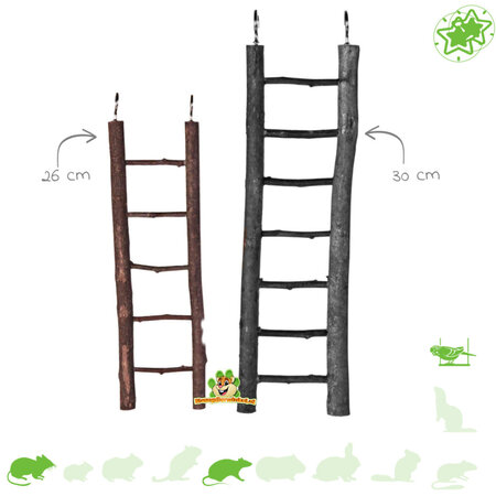 Natuur Ladder