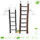 Natuur Ladder