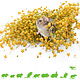 Knaagdier Kruidenier Cosecha de linaza para roedores y aves