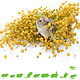 Knaagdier Kruidenier Récolte de lin pour rongeurs et oiseaux