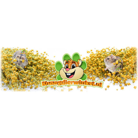 Knaagdier Kruidenier Flaxseed Harvest 200 grams for Rodents & Birds
